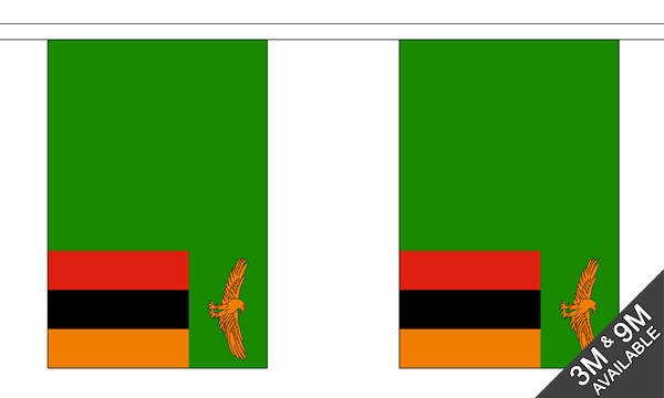 Zambia Bunting